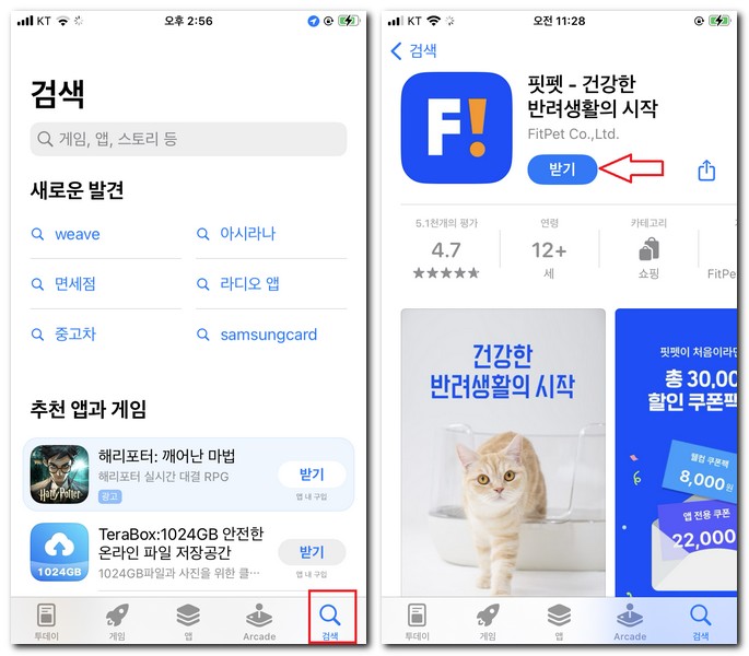 핏펫 앱 설치 어플 다운로드 받는 법
