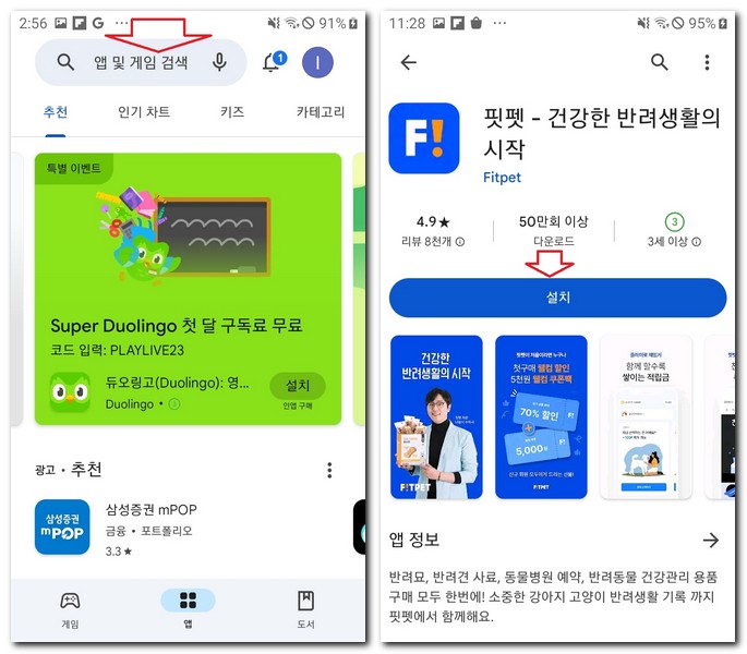 핏펫 앱 설치 어플 다운로드 받는 법